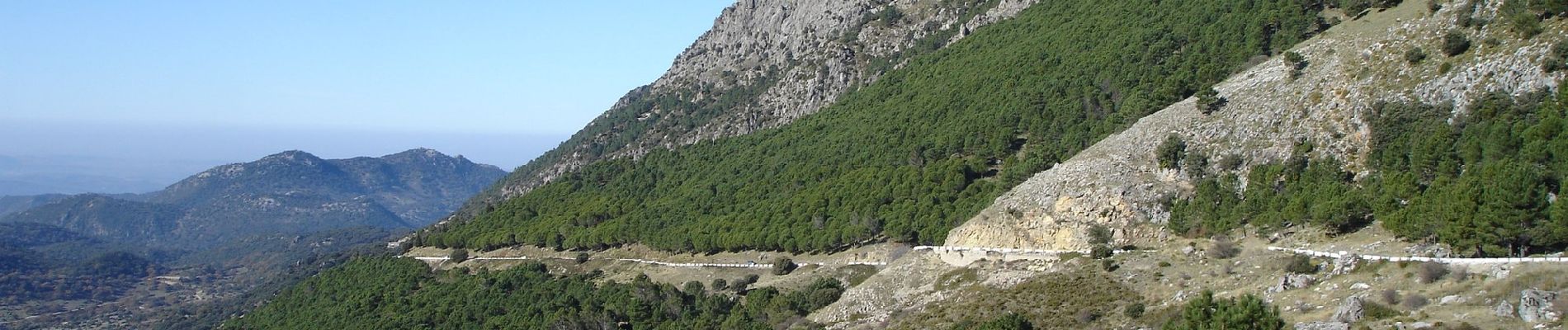 Trail On foot Grazalema - PUERTO DE LAS PRESILLAS - Photo