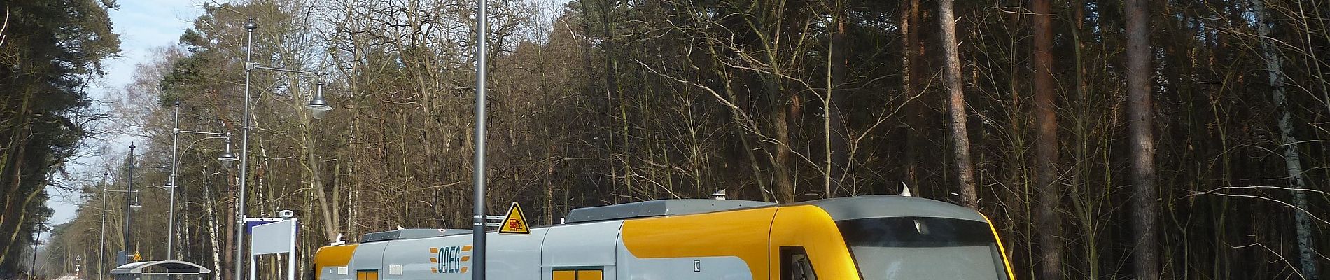 Tour Zu Fuß Bad Saarow - Naturlehrpfad Petersdorfer See - Photo