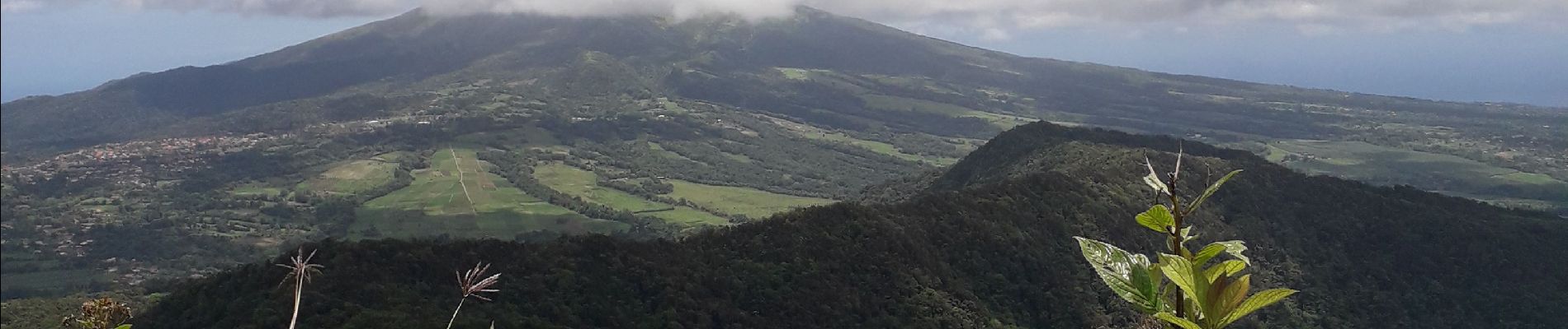 Tour Wandern Le Morne-Rouge - Ste Cecile. Caillerie. Jacob. Makintosh - Photo