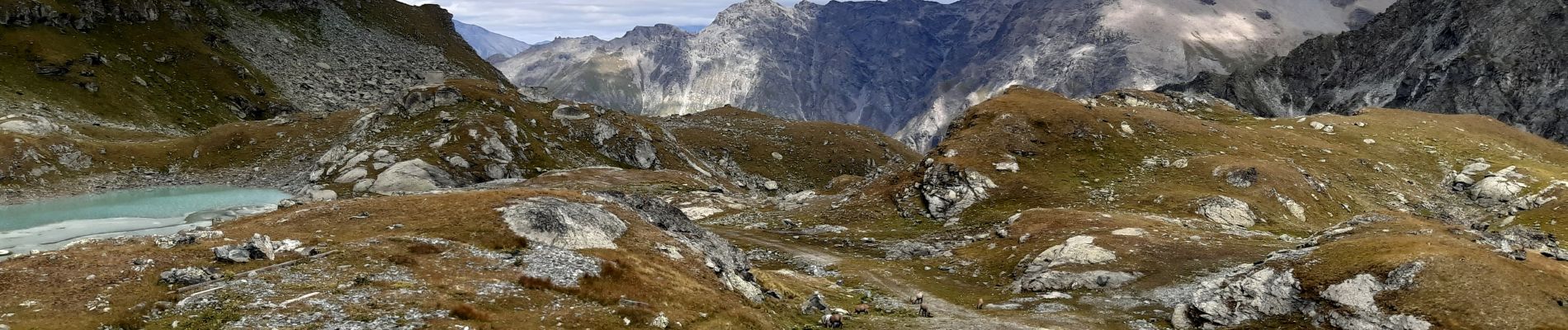 Tocht Stappen Val de Bagnes - La Haute Route : J3 - Photo