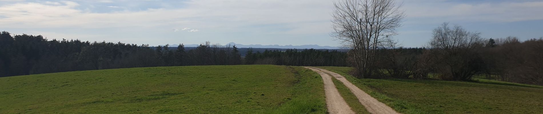 Trail Walking Escoutoux - Terrasses de la Dore_T - Photo