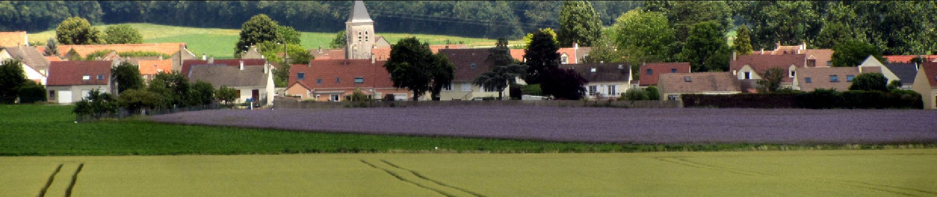 Tocht Stappen Cuisy - Les rus de Goële et la forêt de Montgé  - Photo