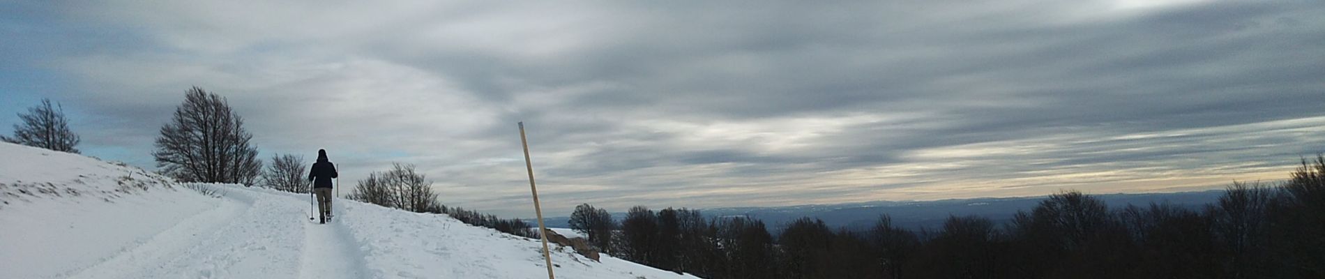 Tour Schneeschuhwandern Lepuix - Wissgrut - Photo