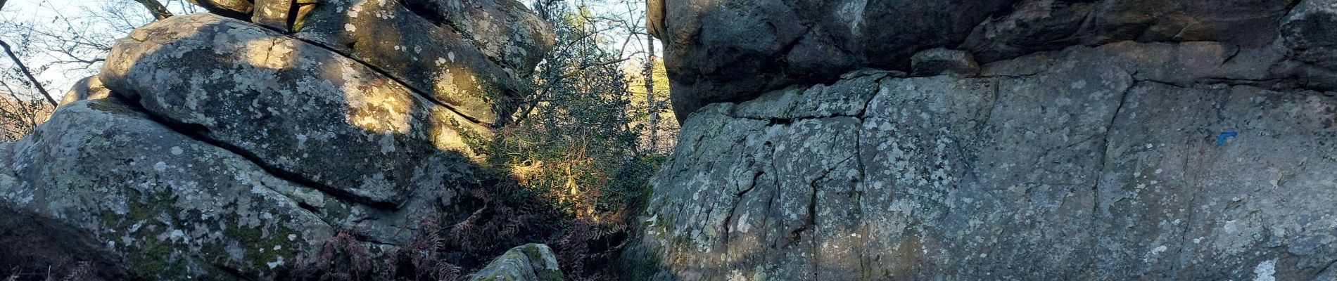 POI Fontainebleau - Unnamed POI - Photo