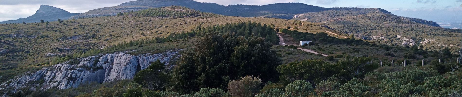 Percorso Marcia La Destrousse - Antenne M'ont des Marseillais - Photo