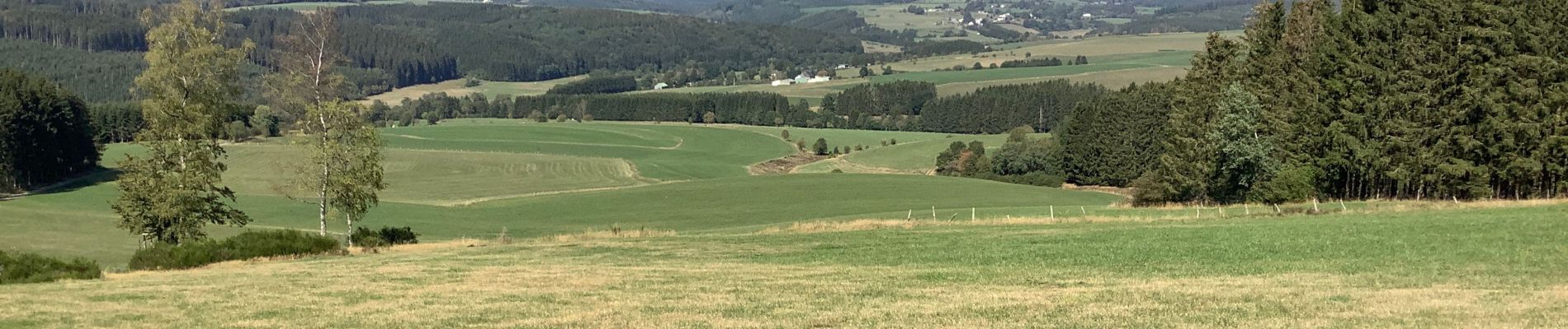 Tour Wandern Sankt Vith - Alfersteg - incursion en Allemagne - Photo