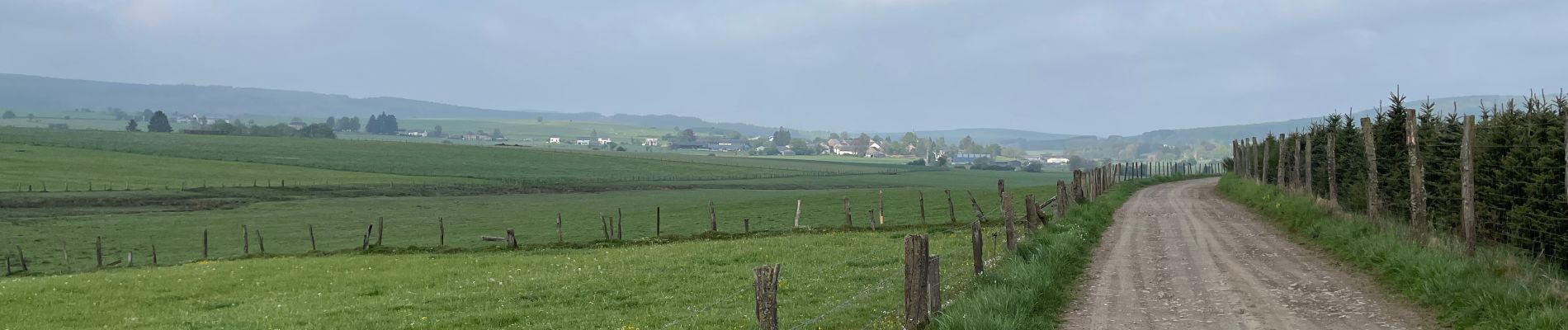 Trail Walking Libramont-Chevigny - Bras-Freux - Photo