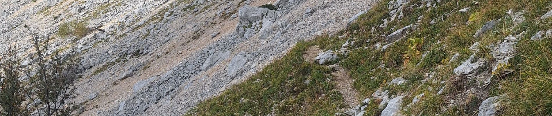 Tocht Stappen Le Gua - Prelenfrey-Pas de loeille - Photo