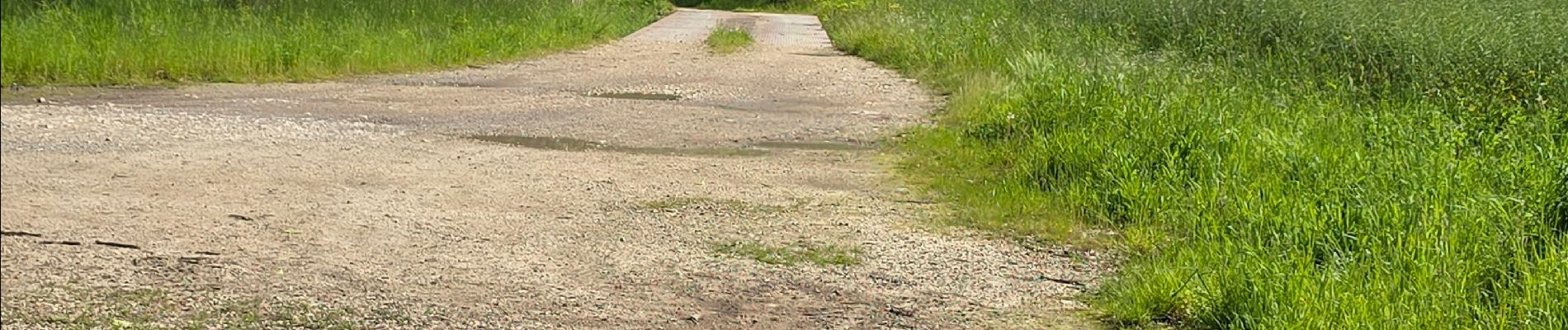 Randonnée Marche Lignières - Lignières - Autour de Rocheux - Photo