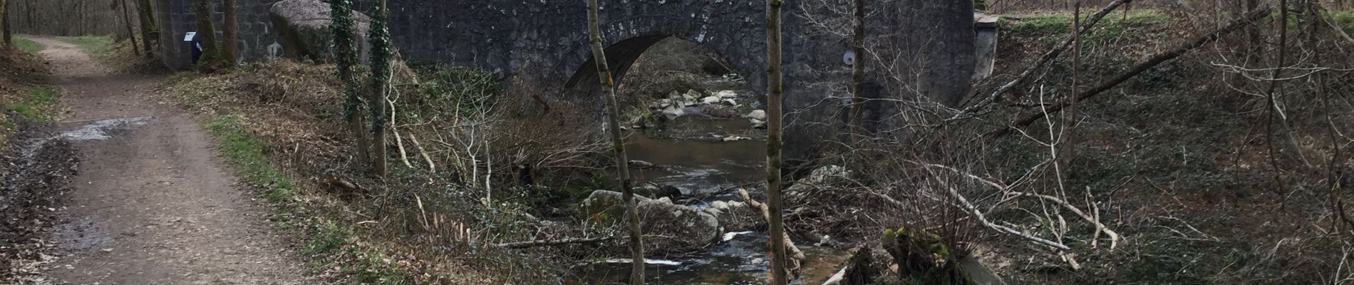 Randonnée Marche Salvizinet - Salvizinet et vers monorail - Photo