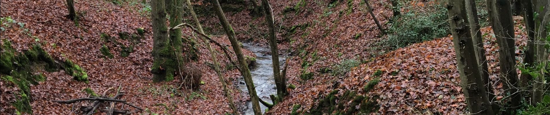 Tour Wandern Huy - LEGIA TIHANGE - Photo