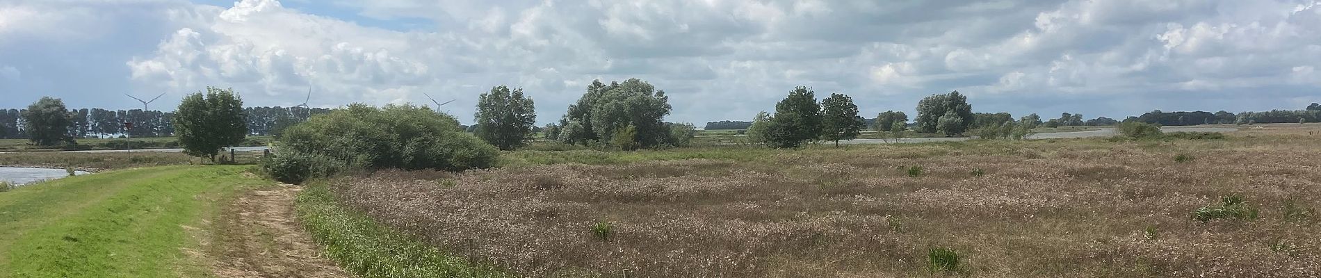 Trail On foot Zwolle - WNW IJsseldelta - Vreugderijkerwaard -groene route - Photo