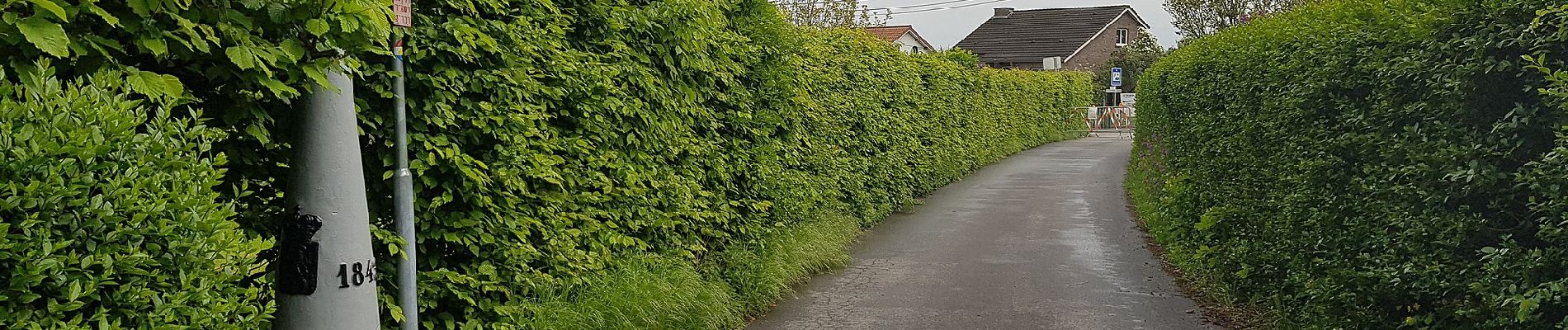 Tocht Te voet Blieberg - Beusdael - Photo