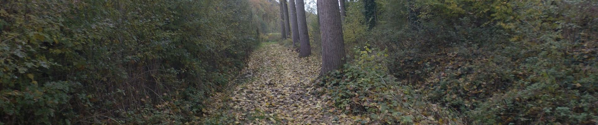 Percorso A piedi Villers-le-Bouillet - FIZE 2019-11-11 - Photo