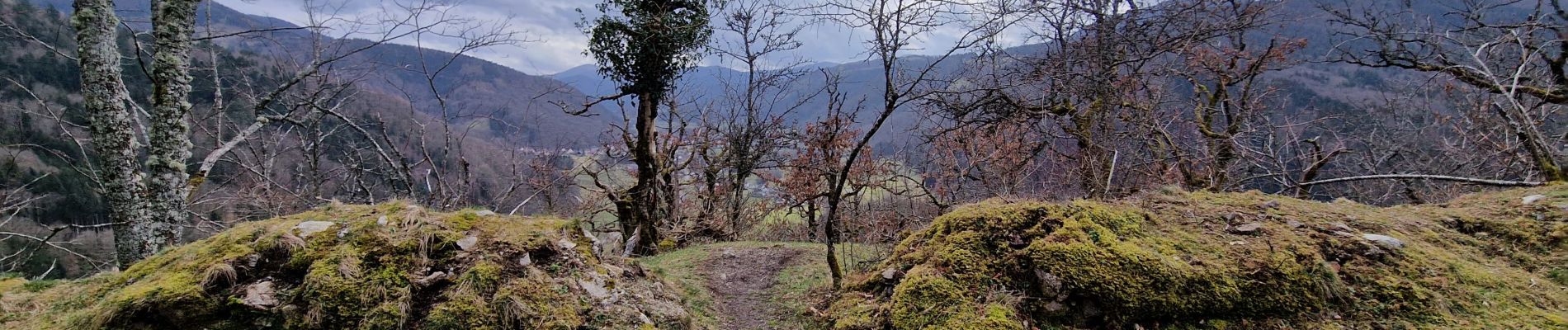 Tocht Stappen Kruth - chemin direct wildenstein et chateau - Photo