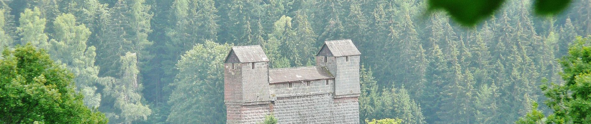 Tocht Te voet Neuweiler - Zwerenberg-Berneck - Photo