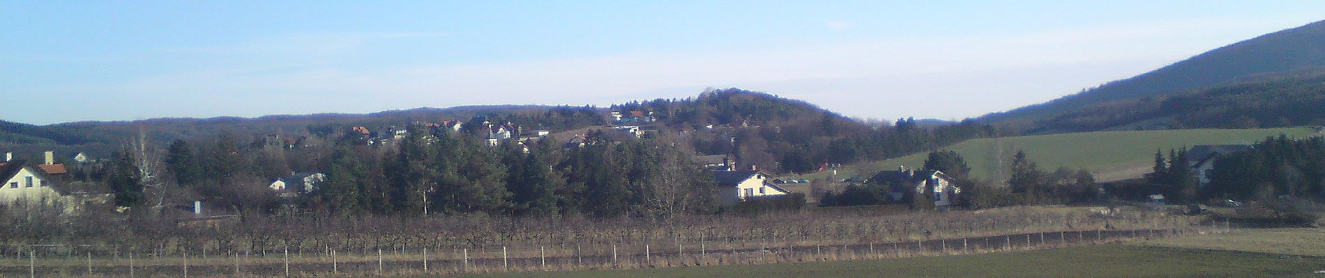 Trail On foot Gemeinde Alland - Mayerling - Preinsfeld - Siegenfeld - Gaaden - Photo