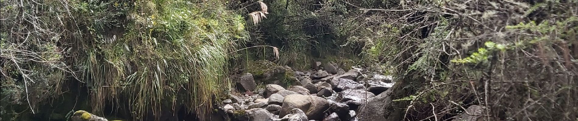 Randonnée Marche Machachi - Cascadas de la hostelería 