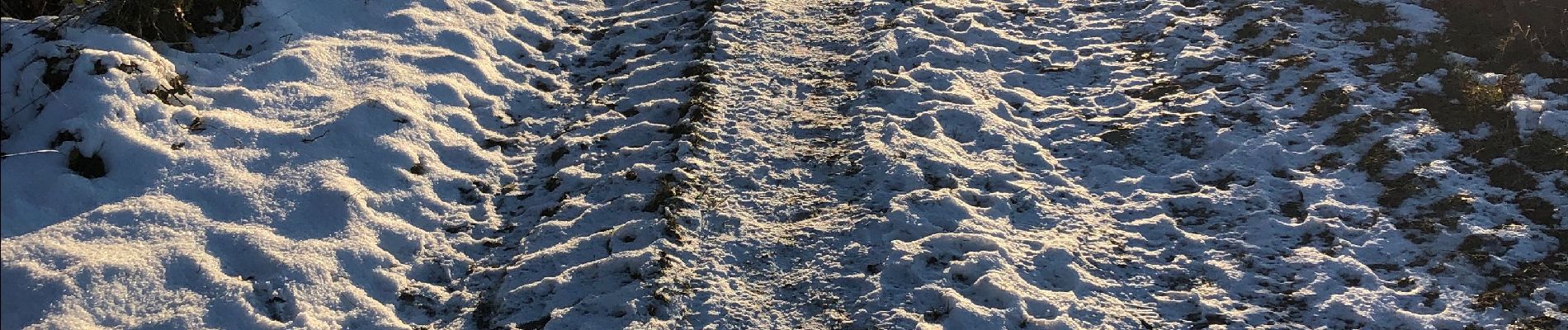 Randonnée Marche Durbuy - Boucle autour de Borlon en hiver  - Photo