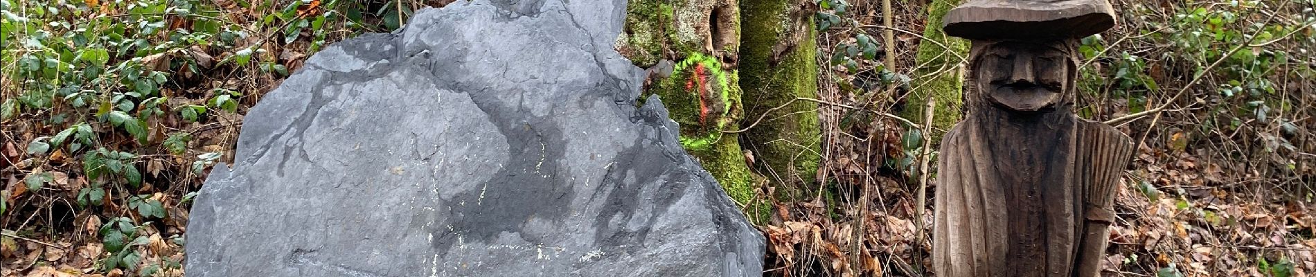 Excursión Senderismo Vresse-sur-Semois - Sugny familiewandeling met picknick plaats - Photo