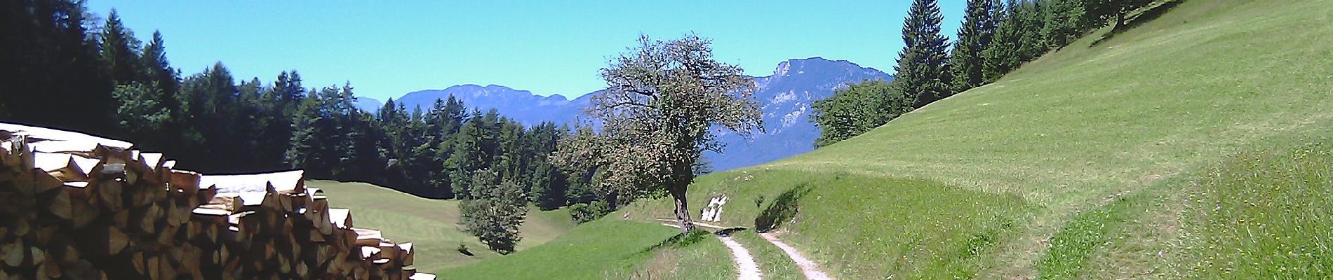 Excursión A pie Gemeinde Scheffau am Wilden Kaiser - Wanderweg 57 - Wilder Kaiser - Photo