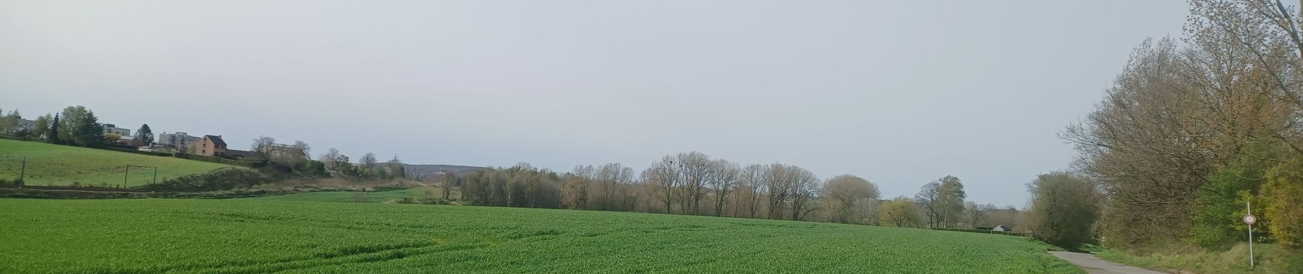 Tocht Stappen Genepiën - Houtain-le-Val-Nivelles - Photo