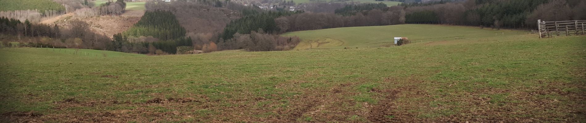 Tour Wandern Hohenfels - Bernistape - Photo