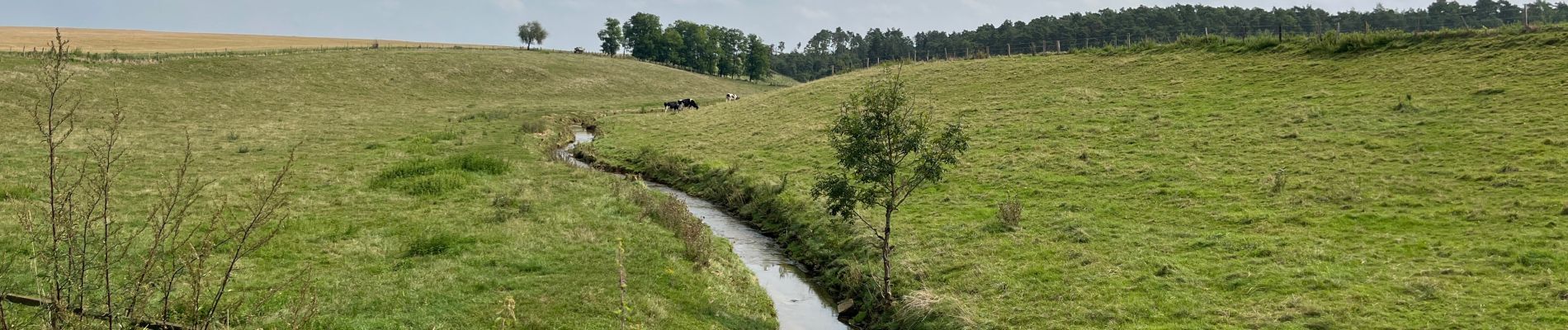 Trail Walking Jonchery - Val de Bonnevaux  - Photo