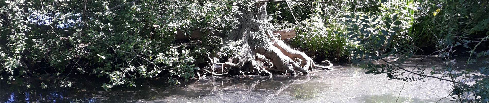 Tour Wandern Bouillé-Courdault - bouille - Photo