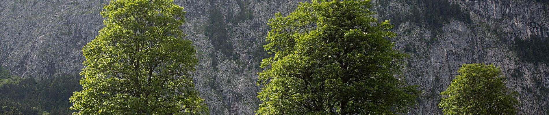 Tocht Te voet Liezen - Zur kleinen Schale-Runde - Photo