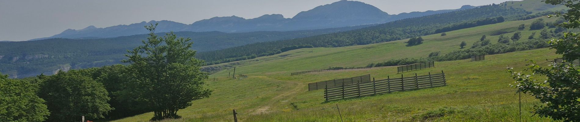 Trail Walking Saint-Agnan-en-Vercors - Col du Rousset : Plateau de Beure 16km. - Photo