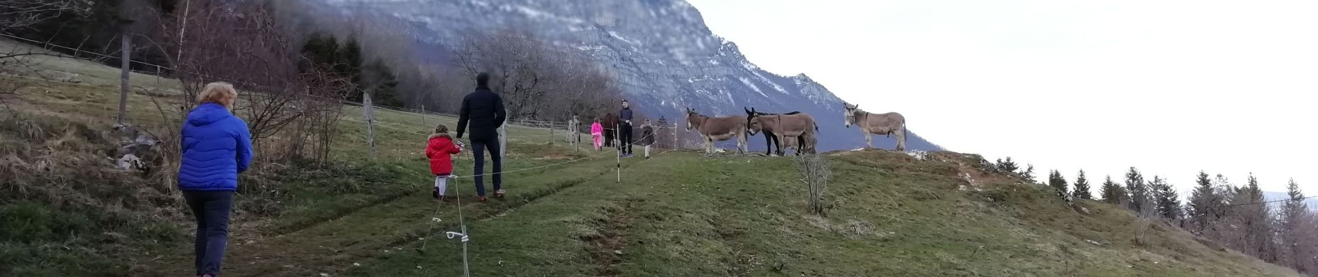 Excursión Senderismo Claix - Le Plateau du Peuil - Photo