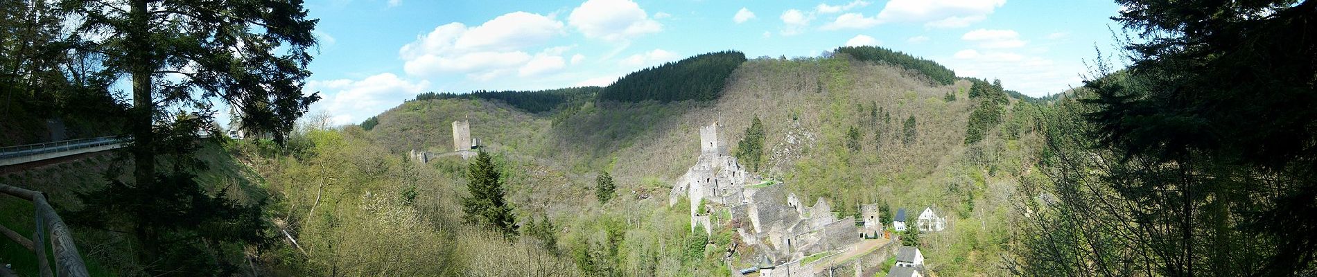 Tour Zu Fuß Manderscheid - Manderscheider Burgensteig - Photo