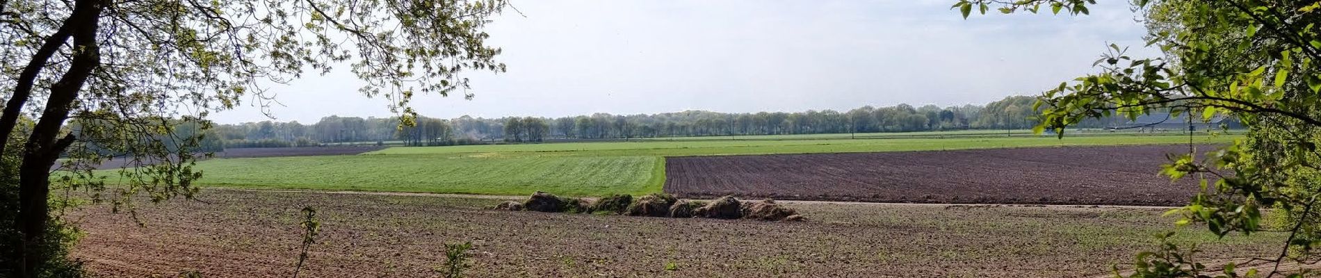 Percorso A piedi Ede - Meulunterenpad - Photo