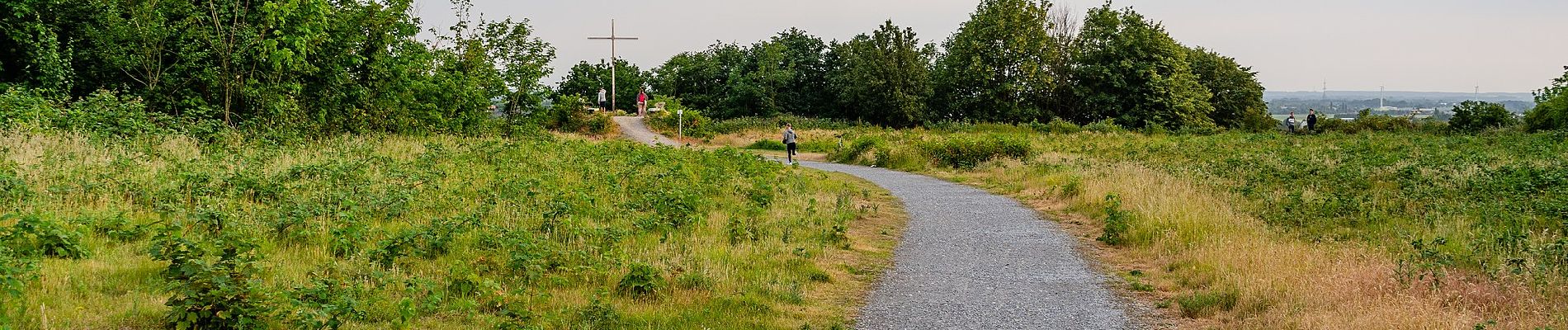 Tour Zu Fuß Unknown - Winkel Schroersdyk - Waldwinkel - Photo