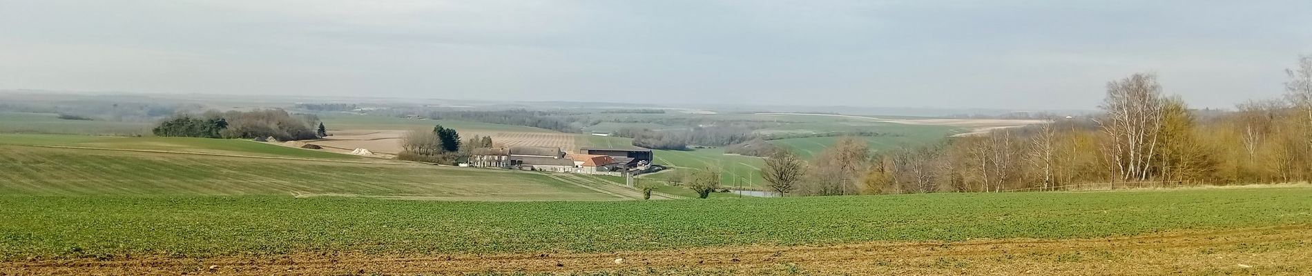 Tocht Stappen Mareuil-en-Dôle - Mareuil-en-Dole du 01-03-2022 - Photo