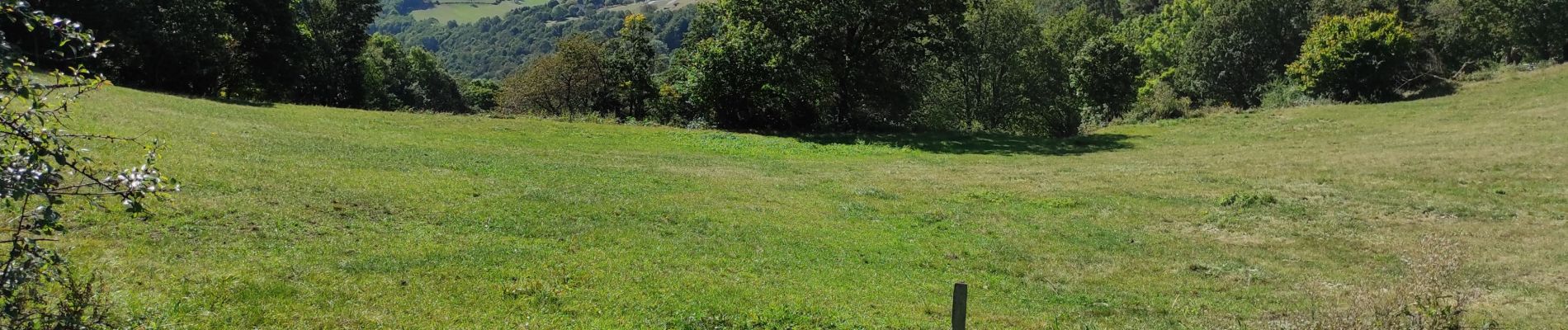 Randonnée Marche Hohrod - Hohrodberg après midi - Photo