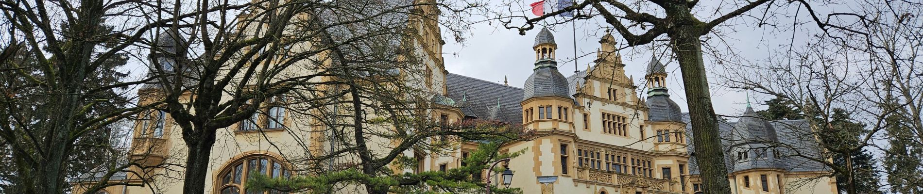 Randonnée Marche Longeville-lès-Metz - 🎅🎄 Noël à Metz - Photo