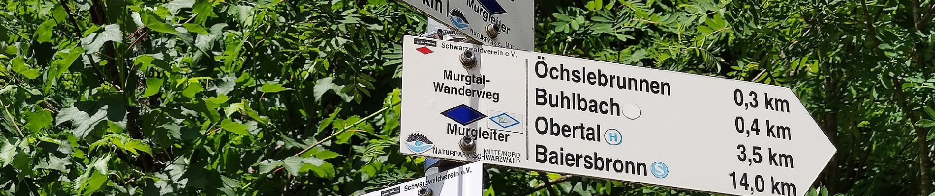 Tocht Te voet Baiersbronn - Schöner Platz-Hänger - Photo