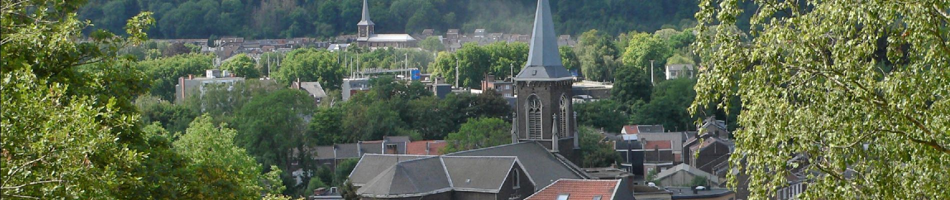 Tocht Stappen Luik - Grivegnée Landes de Streupas - Photo