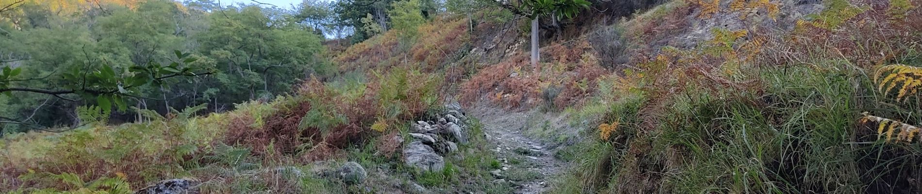 Percorso Marcia Arnave - Les 4 cols autour d'Arnave - Photo