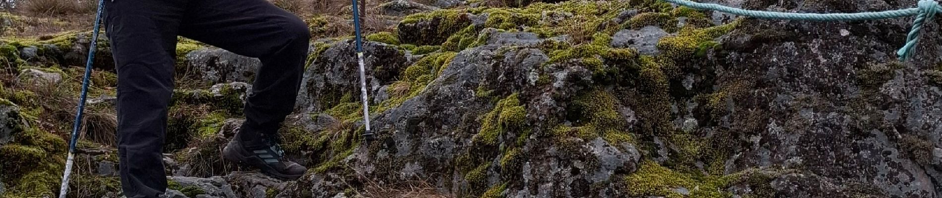 Excursión Senderismo Le Ménil - le Ménil_les chapelles - Photo