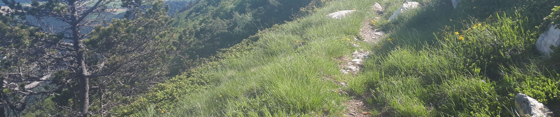 Tour Wandern Vassieux-en-Vercors - But Saint Genix par les cols de Vassieux, La Chau, les pas de Bouillanain et Florent - Photo