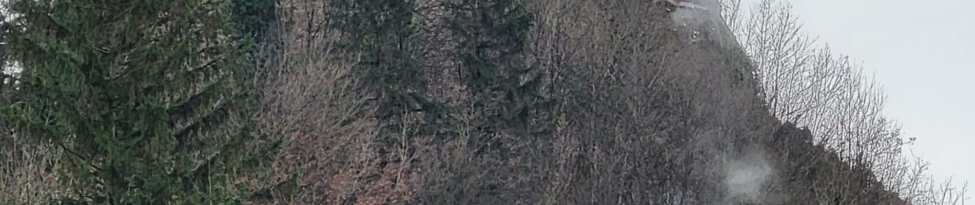 Randonnée Marche Schirmeck - Schirmeck : de la Côte du Château au Strutof - Photo