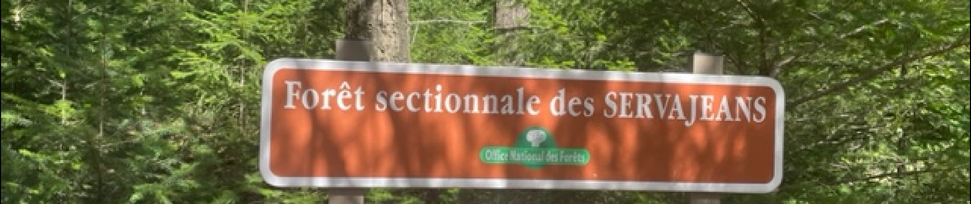 Punto di interesse Ambierle - Forêt sectionale des Servajeans - Photo
