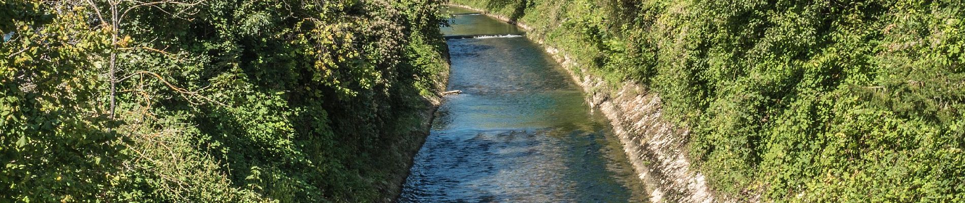 Tocht Te voet Oensingen - Oensingen - Kestenholz - Photo