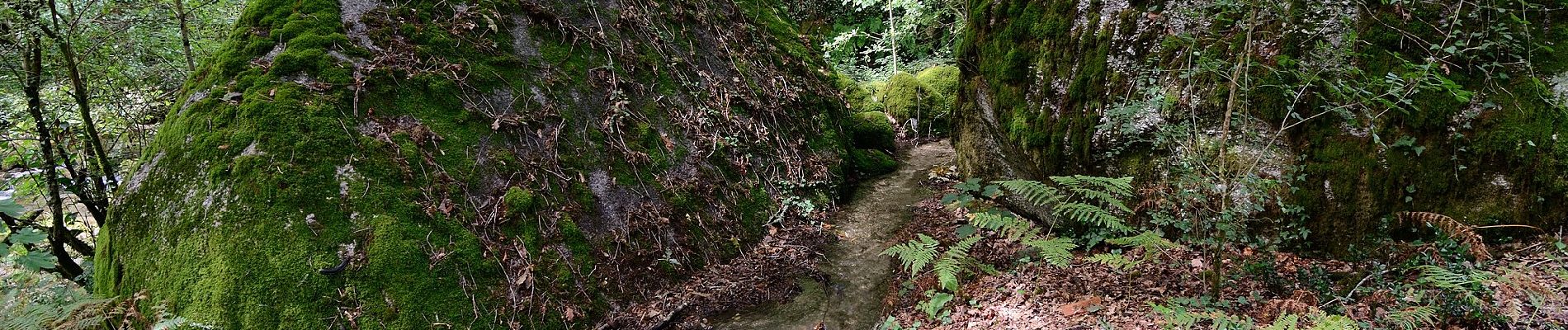 Tocht Te voet Rio Caldo - Trilho de S Bento Geres - Photo