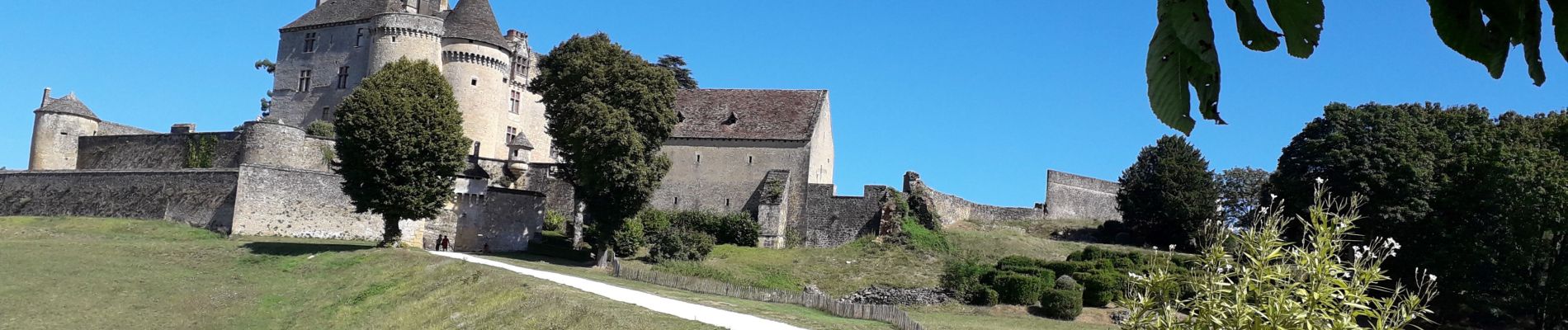 Percorso Mountainbike Saint-Julien-de-Lampon - fenelon - Photo