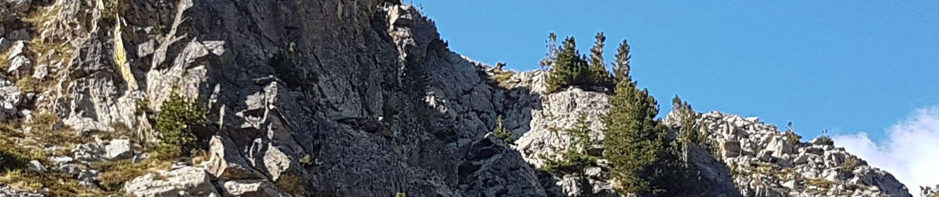 Tocht Stappen Saint-Martin-Vésubie - lacs du Pras - Photo