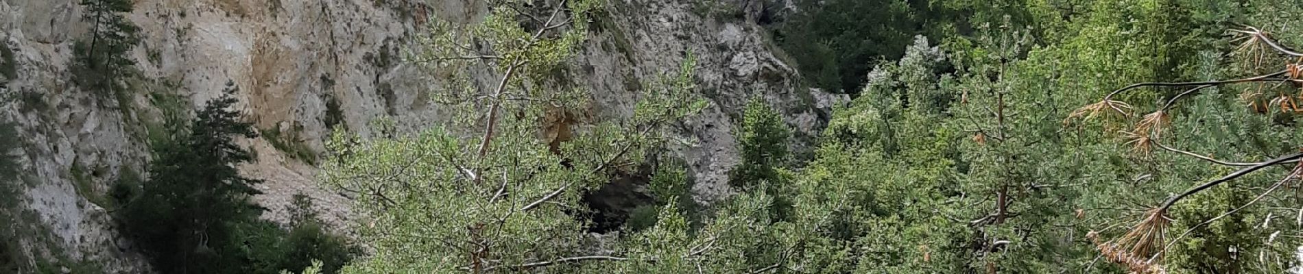 Tocht Stappen Fontcouverte-la-Toussuire - 20190816 Boucle La Forestière - Photo